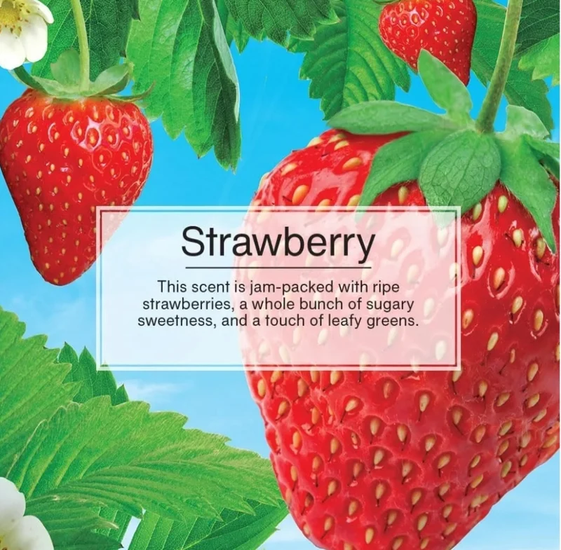 LITTLE TREES Car Air Freshener Vent Wrap Scent, Invisibly Fresh-Strawberry (16)