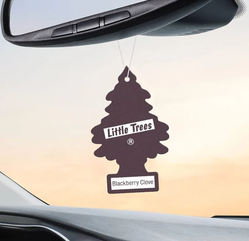 LITTLE TREES Car Air Freshener Hanging Tree Scent - Blackberry Clove (24)