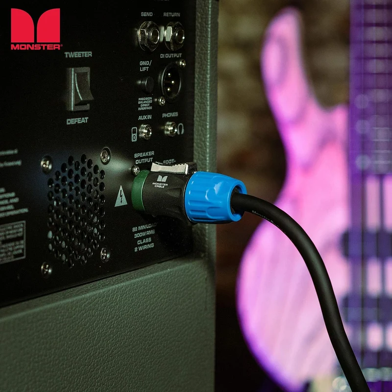 Monster Prolink Performer 600 Speaker Cable with Speak,On Connectors, 10ft, Speak,On Plugs