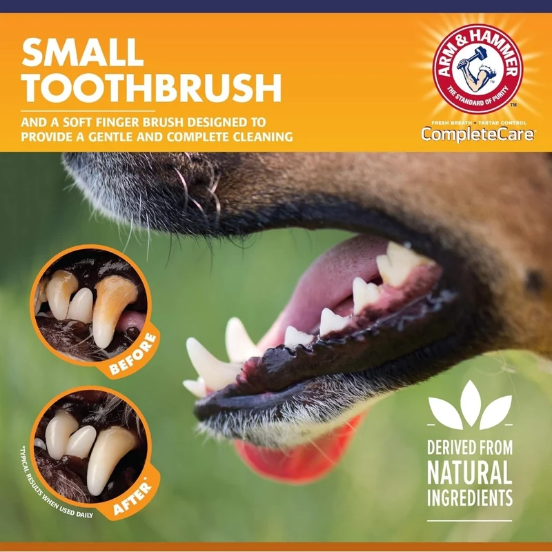 Arm & Hammer Complete Care Puppy Dental Kit - Includes Small Dog Toothbrush, Peanut Butter Flavor (2.5 Oz) Toothpaste