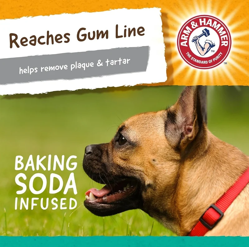 Arm & Hammer for Pets Super Treadz Gorilla Dental Chew Toy for Dogs - Plaque & Tartar Buildup Without Brushing