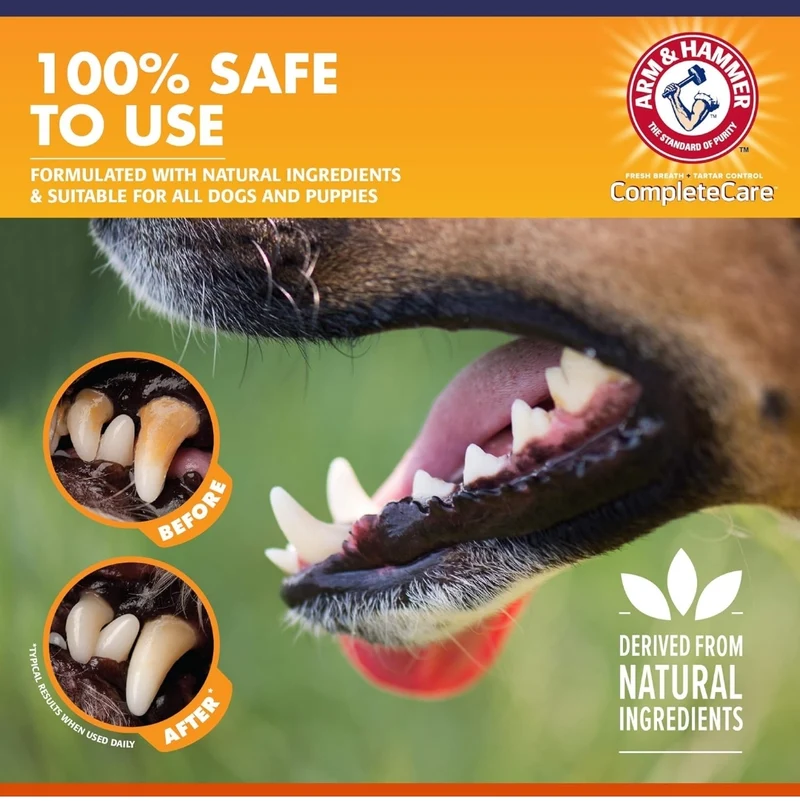 Arm & Hammer Complete Care Enzymatic Dog Toothpaste (6.2 oz) - For Puppies and Adult Dogs