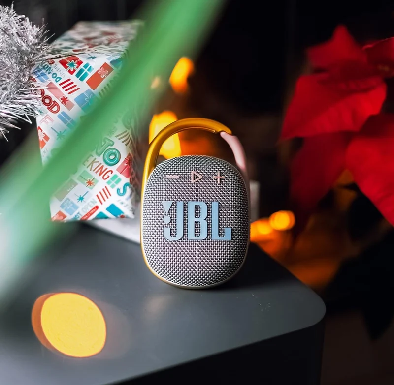 JBL Clip 4 - Portable Mini Bluetooth Speaker, IP67 waterproof and dustproof, 10 hours of playtime - (Grey)