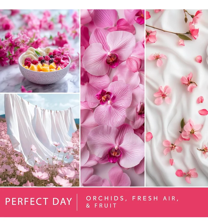 Scentsationals Wax Melts, Wax Cubes Strong Scent - PERFECT DAY - 4PK