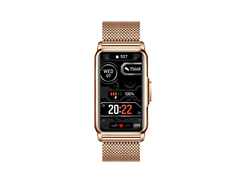 Montre connectée - Edition Camelia 2024 avec bracelet milanais Couleur OR