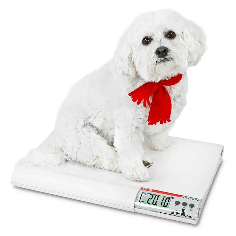 Balance vétérinaire Detecto pour petits animaux, 20" x 14" x 2", 75 lb x .02 lb (35 kg x .01 kg)