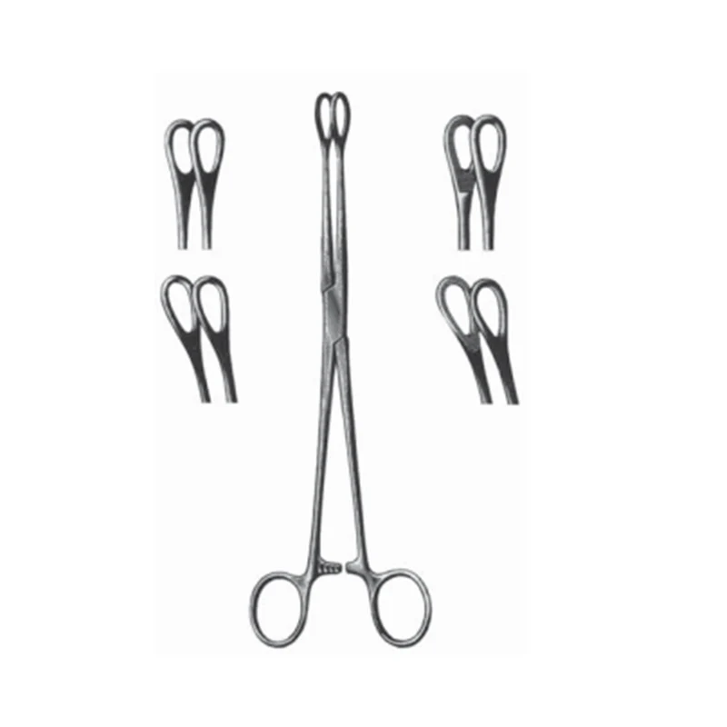 Pince hémostatique Foerster pour éponge courbé 7"